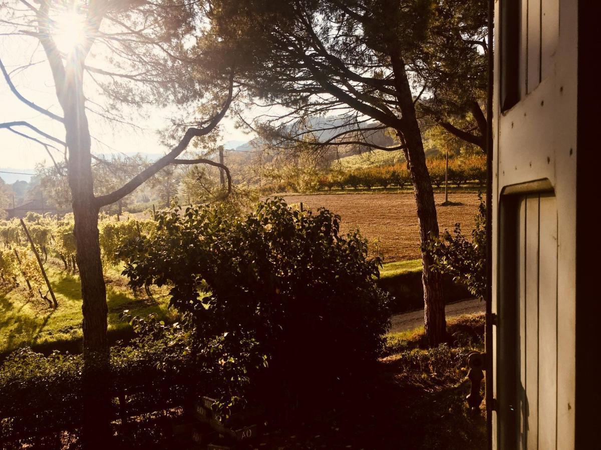 Il Cardello Locanda Casola Valsenio エクステリア 写真