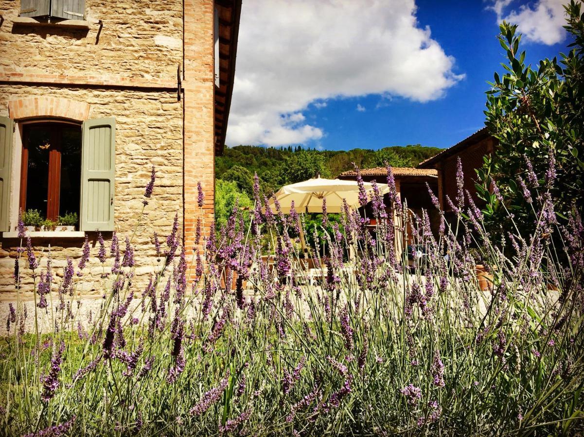 Il Cardello Locanda Casola Valsenio エクステリア 写真
