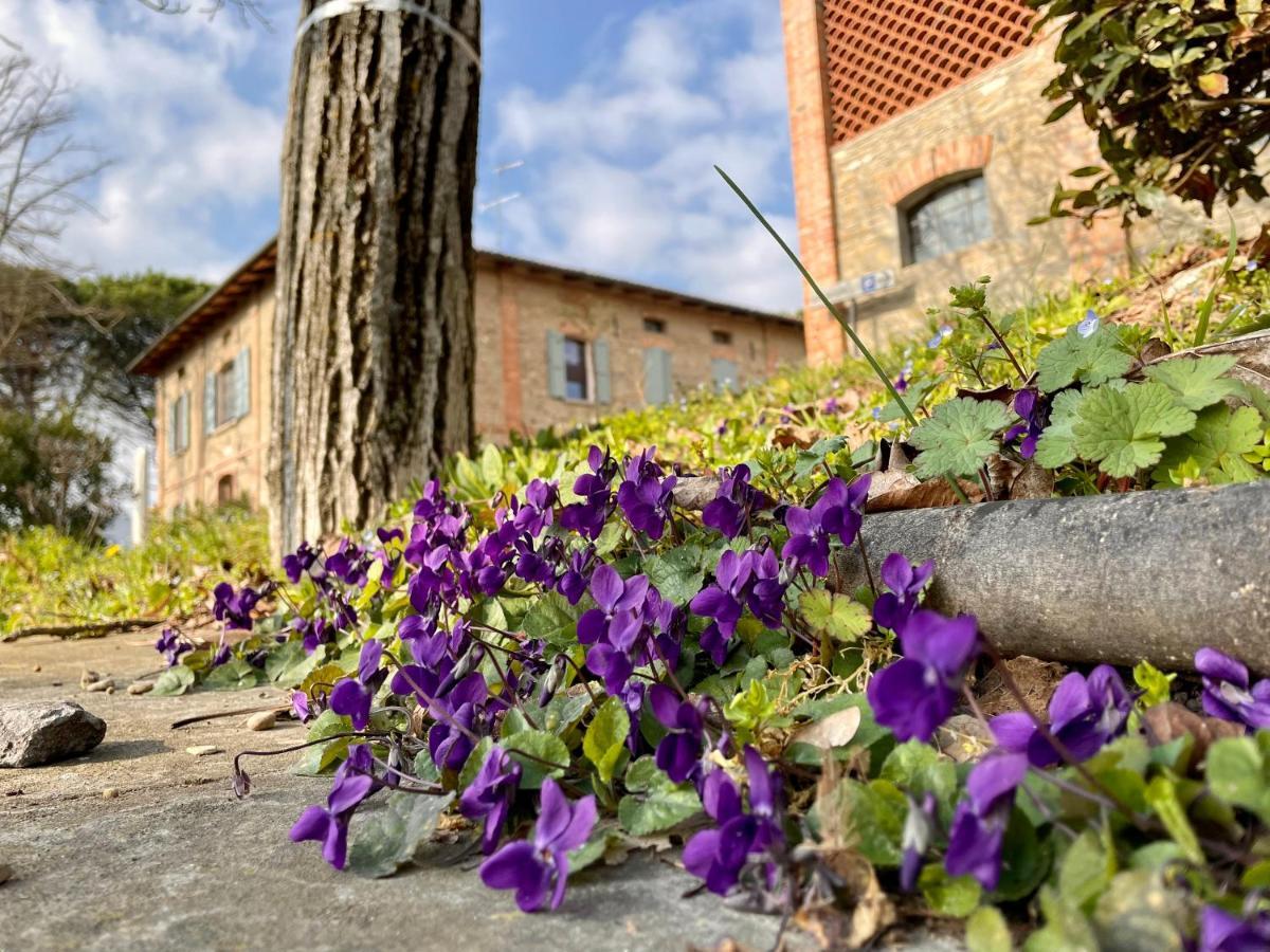 Il Cardello Locanda Casola Valsenio エクステリア 写真